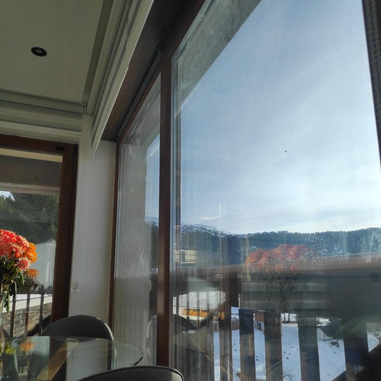 Mountain View 19 Zoned II Kopaonik - Superior Apartment - 99