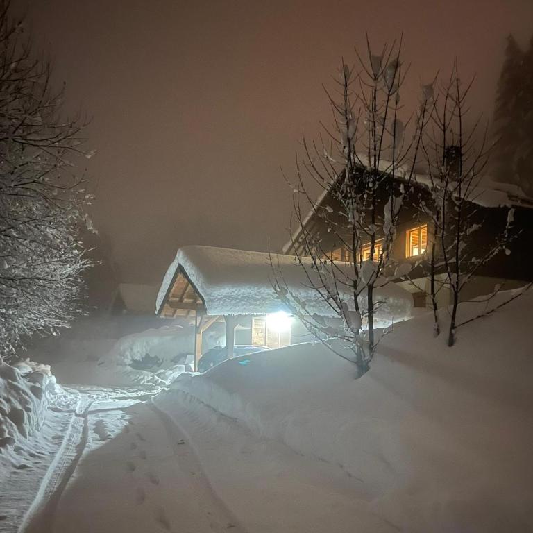 Chalet du Meilly - Chalet - 3