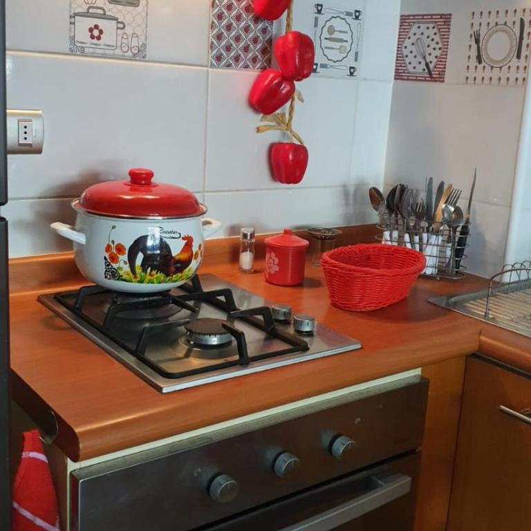 Hermoso Departamento Full Equipado - Apartamento - 6