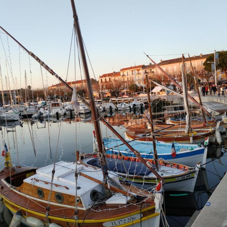 Charmant appartement à 350m de la plage et du port - Apartment mit 1 Schlafzimmer - 21