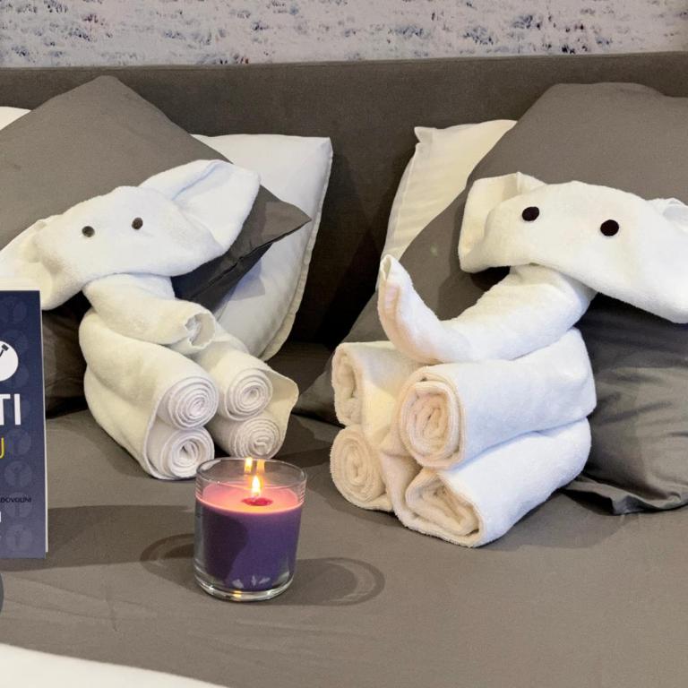 Lux Apartman A18 & SPA Centar - Studio Apartman - 13