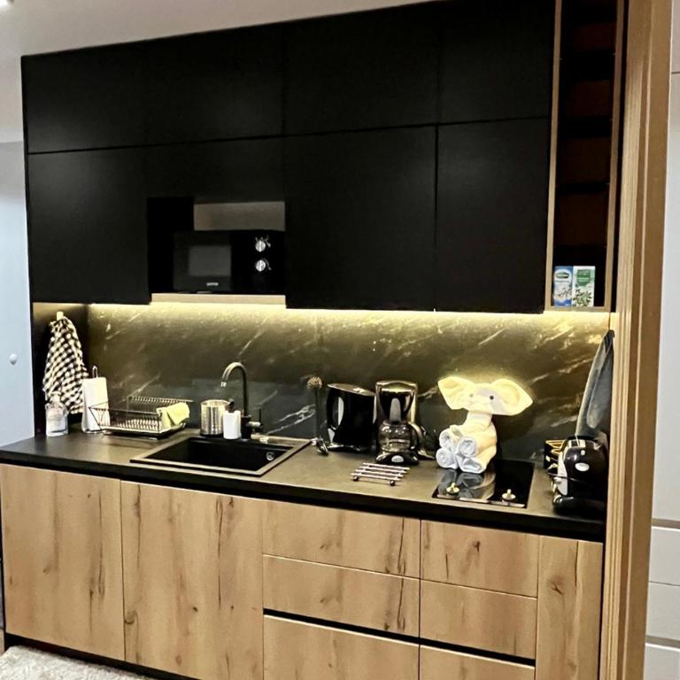 Lux Apartman A18 & SPA Centar - Studio Apartment - 17