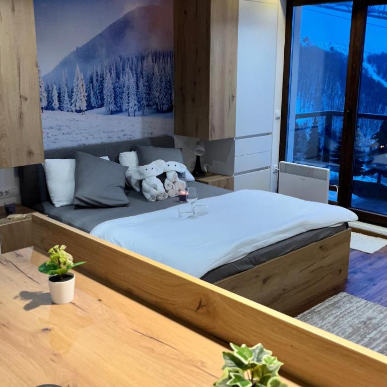 Lux Apartman A18 & SPA Centar - Studio Apartment - 18