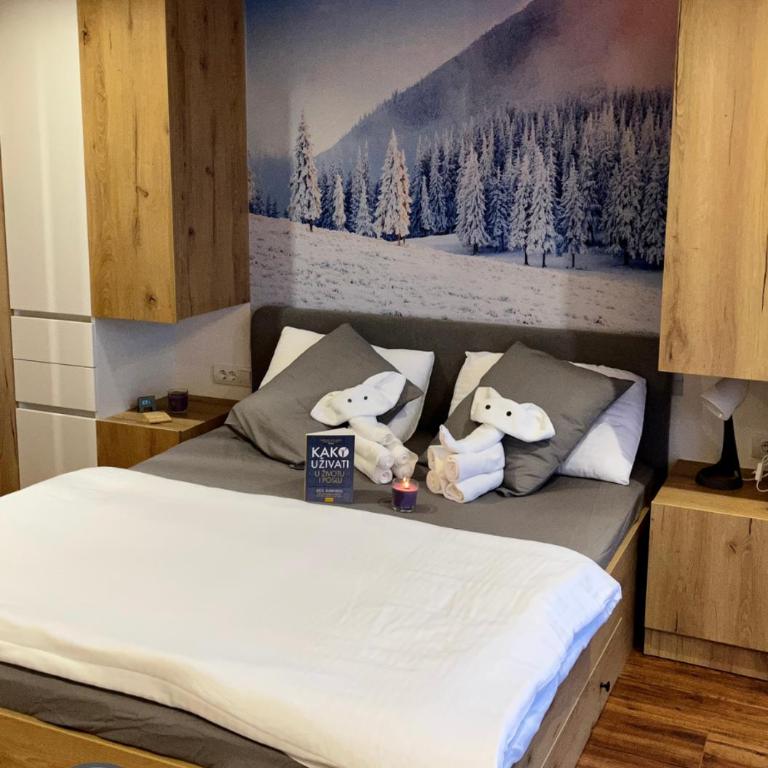 Lux Apartman A18 & SPA Centar - Studio Apartment - 12