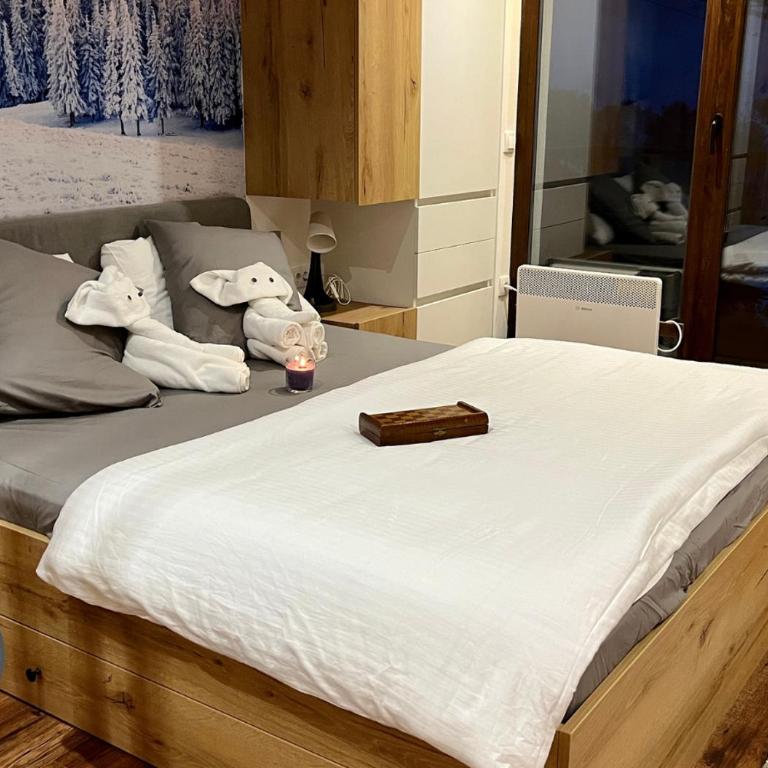 Lux Apartman A18 & SPA Centar - Studio Apartment - 11