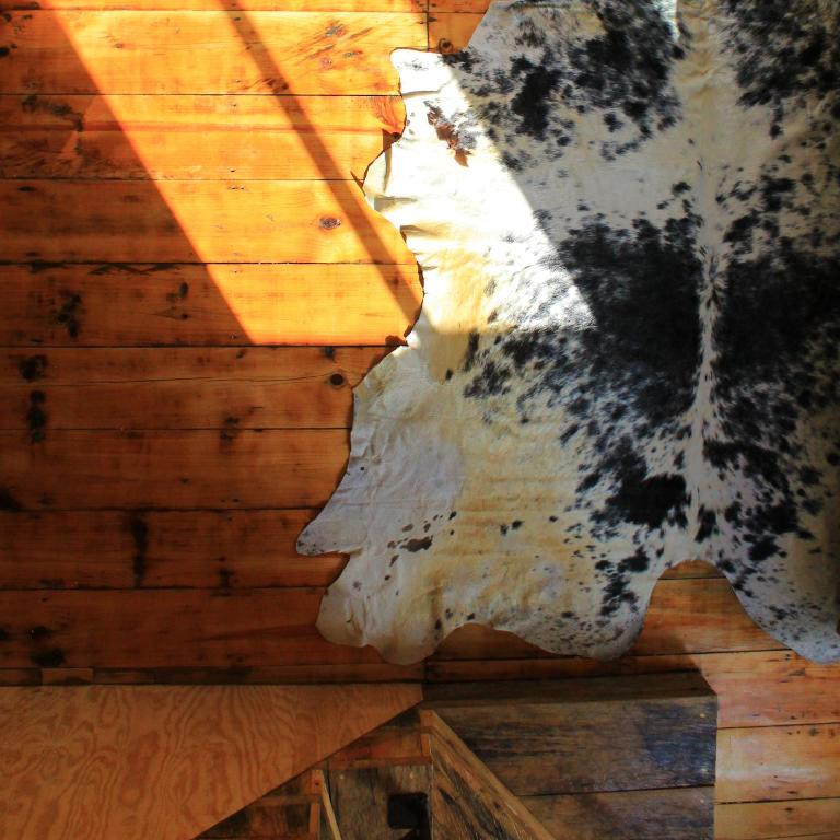 Tiny House with trekking circuit - One-Bedroom Chalet - 13