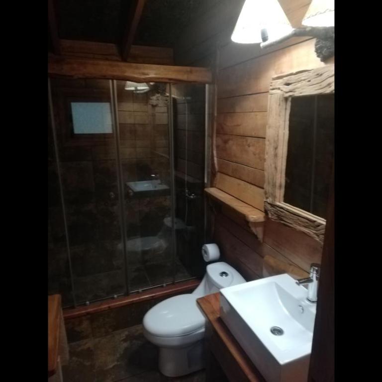 Cabaa rstica 2 maravillosa,con troncos nativos, con orilla de Ro Trancura - Vacation Home - 47