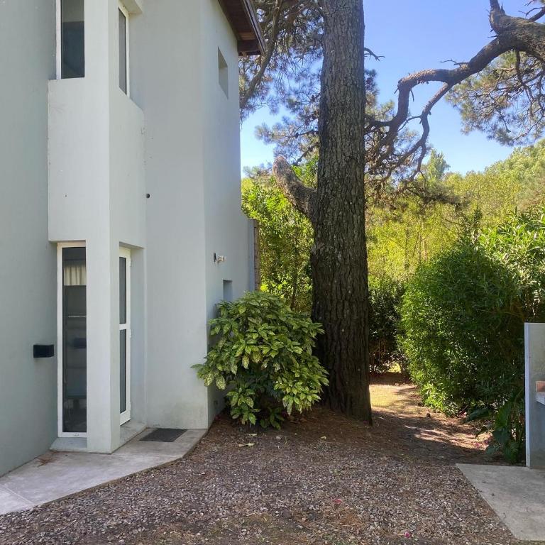 Lucero de las Sierras - Casa de 2 dormitorios - 4