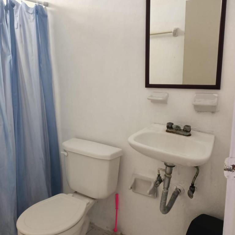 Quetzal - One-Bedroom Apartment - 5