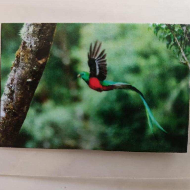 Quetzal - One-Bedroom Apartment - 9