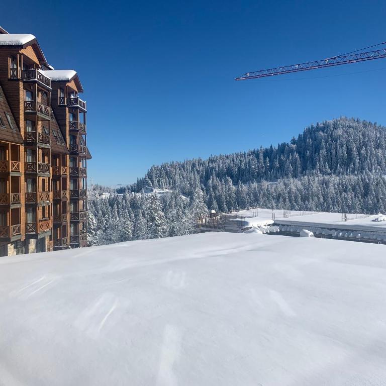 Apartman 206 Jahorina - Hotel Vucko - One-Bedroom Apartment - 1