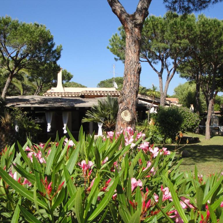 Villa Stella - Casa Vacanze - 51
