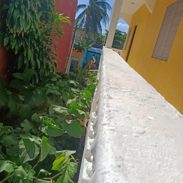 Tucán - One-Bedroom Apartment - 13