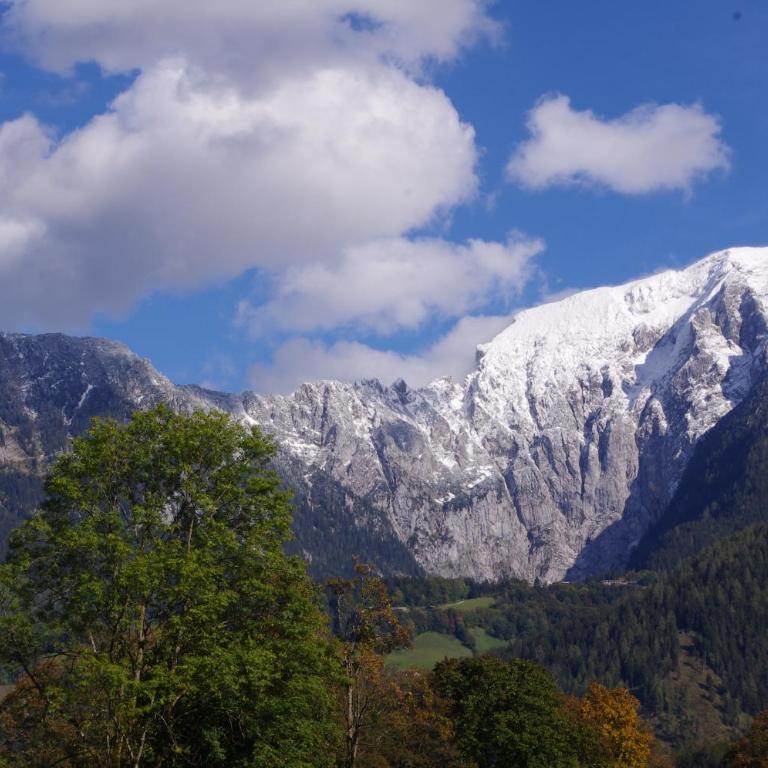 Ferienwohnung Haus Alpenrebe - Apartamento Deluxe - 1