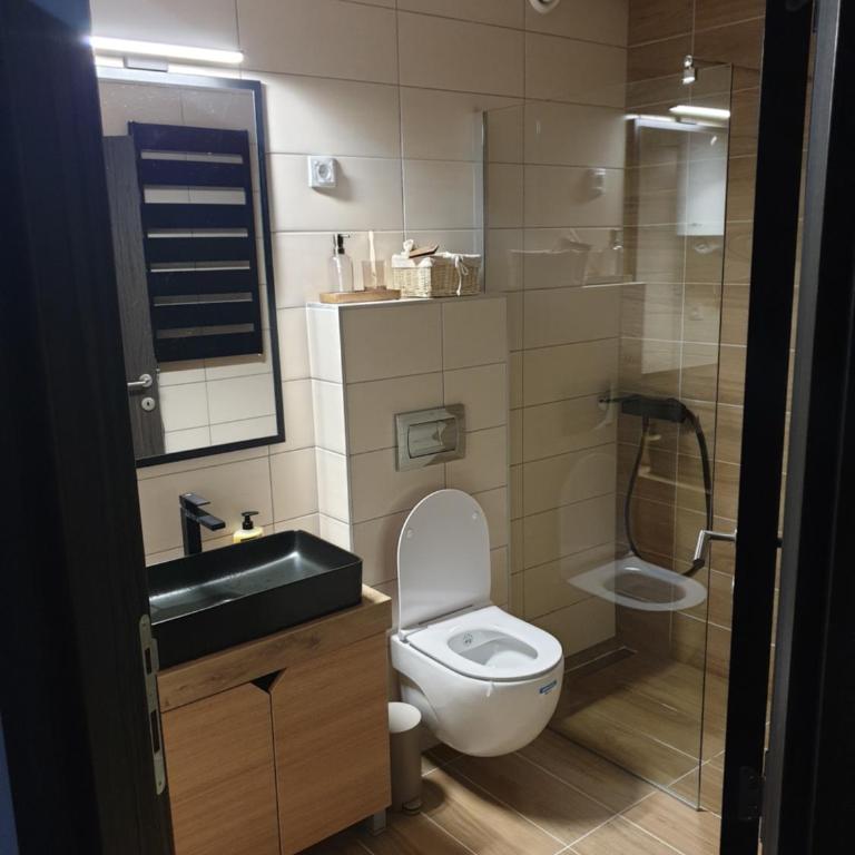 Apartman Noalux 2 Kopaonik - One-Bedroom Apartment - 6