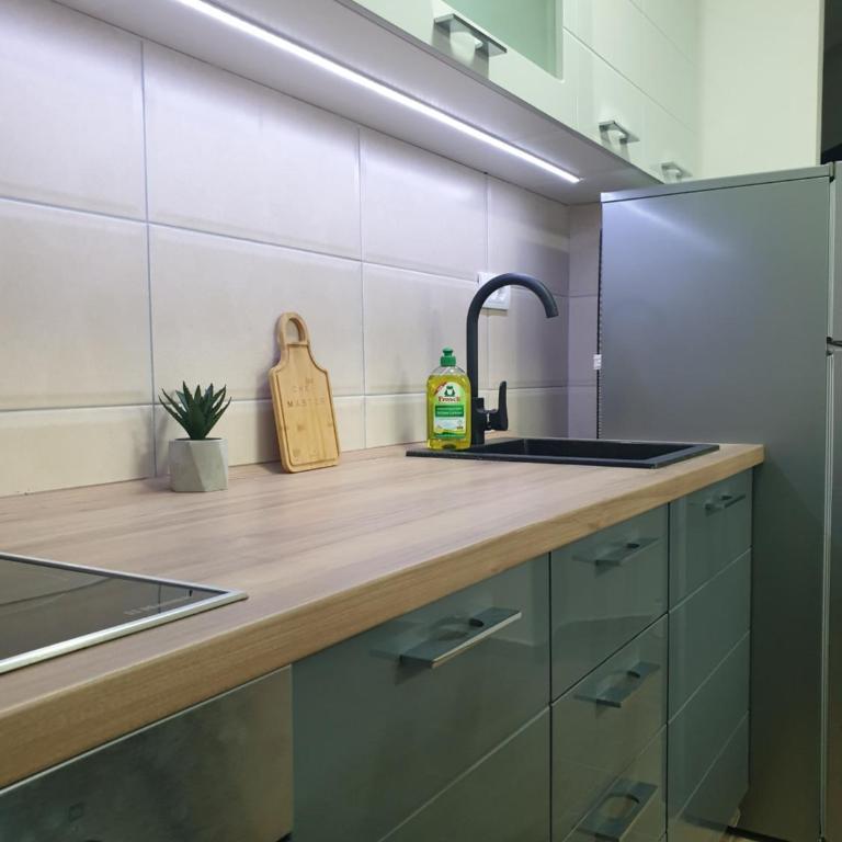 Apartman Noalux 2 Kopaonik - One-Bedroom Apartment - 4