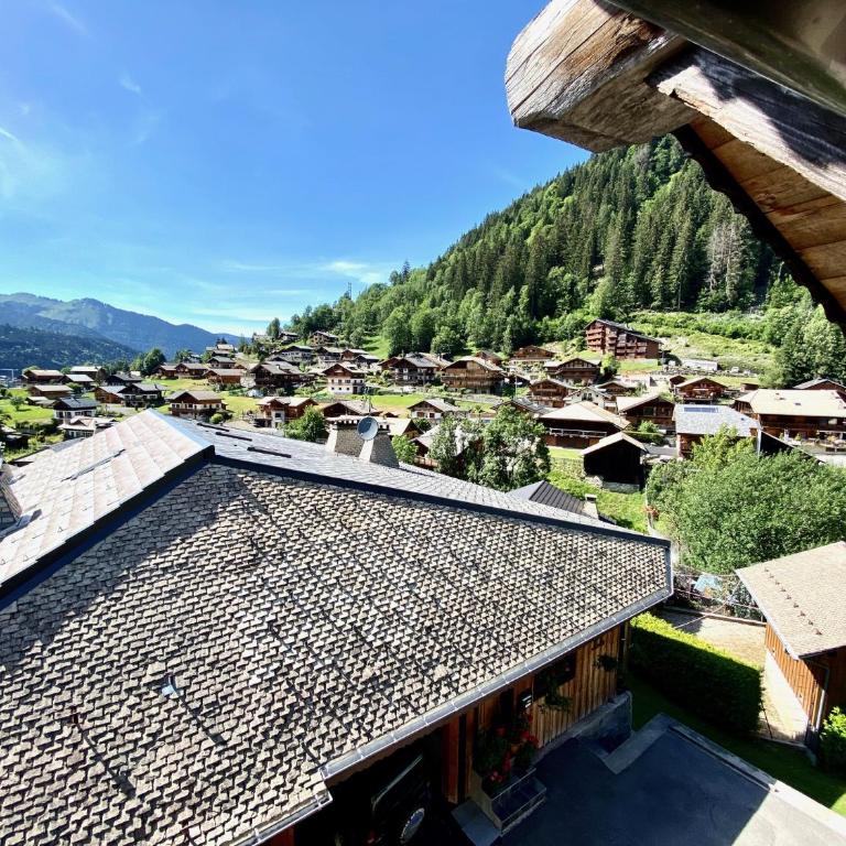 Chalet in Morzine sleeping 12 with sauna - Chalet - 17