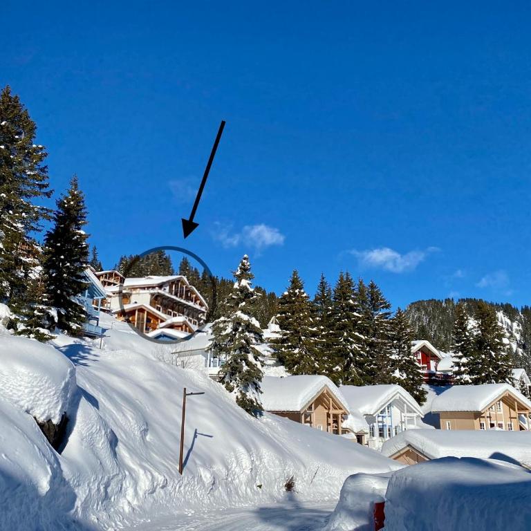 Vue panoramique sur les montagnes plein Sud - T2 Skis aux pieds, Piscine & Spa - Appartement 1 Chambre - 7