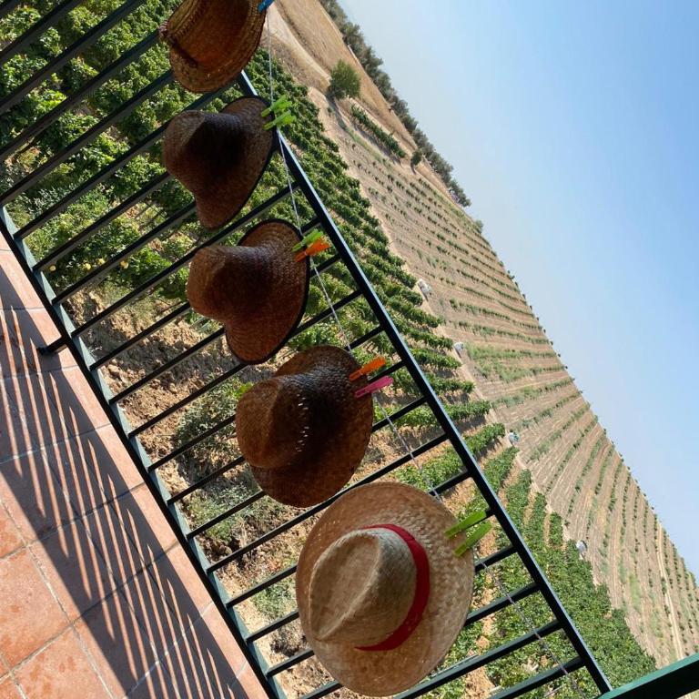 FINCA VALDELAJARA a 20 minutos de Puy du Fou - Casa de 4 dormitorios - 16