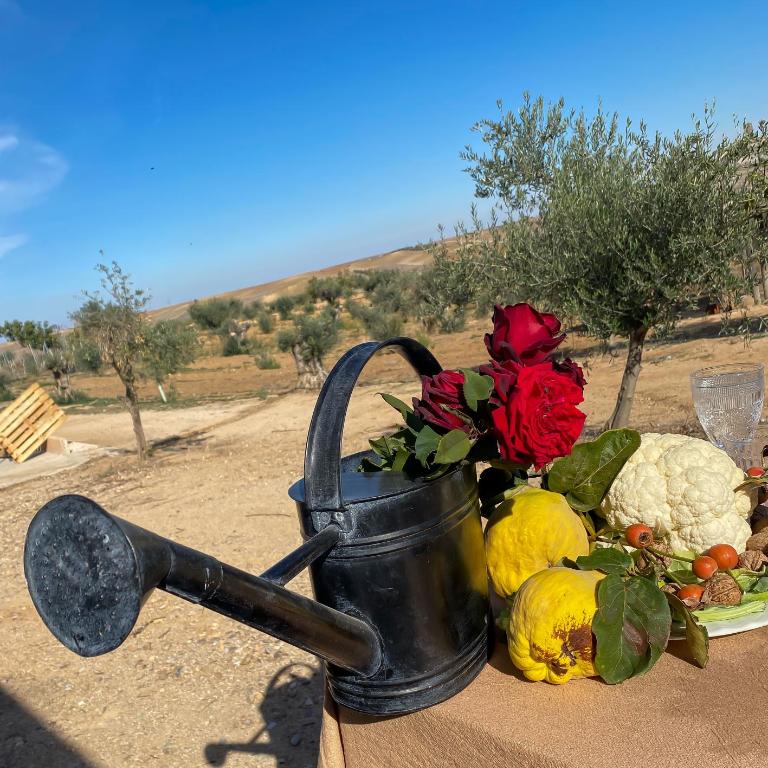 FINCA VALDELAJARA a 20 minutos de Puy du Fou - Casa de 4 dormitorios - 36