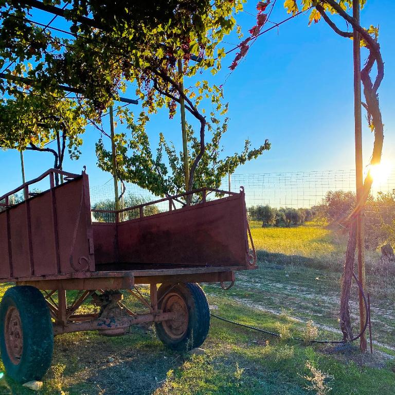 FINCA VALDELAJARA a 20 minutos de Puy du Fou - Casa de 4 dormitorios - 31