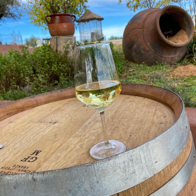 FINCA VALDELAJARA a 20 minutos de Puy du Fou - Casa de 4 dormitorios - 22