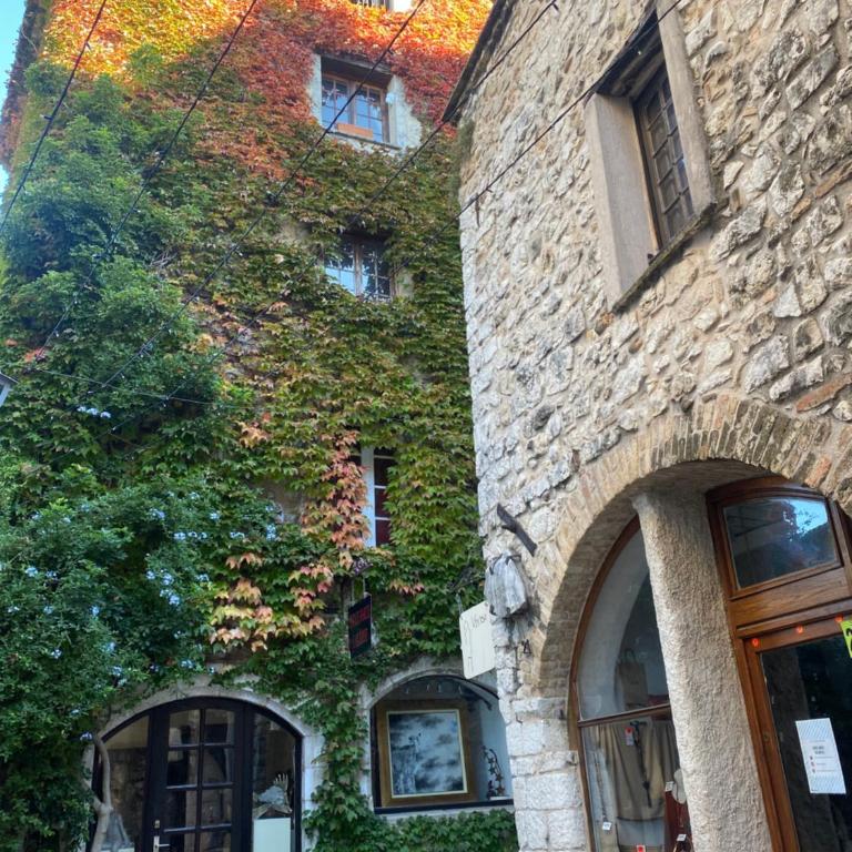 Maison pittorresque St Paul de Vence - Casa con 1 Camera da Letto - 6