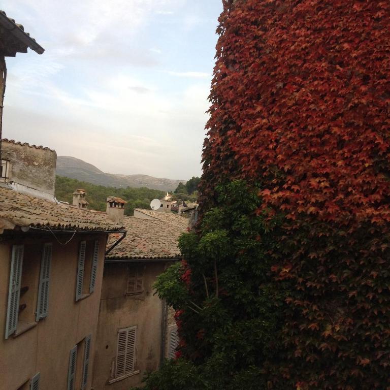 Maison pittorresque St Paul de Vence - Casa con 1 Camera da Letto - 3