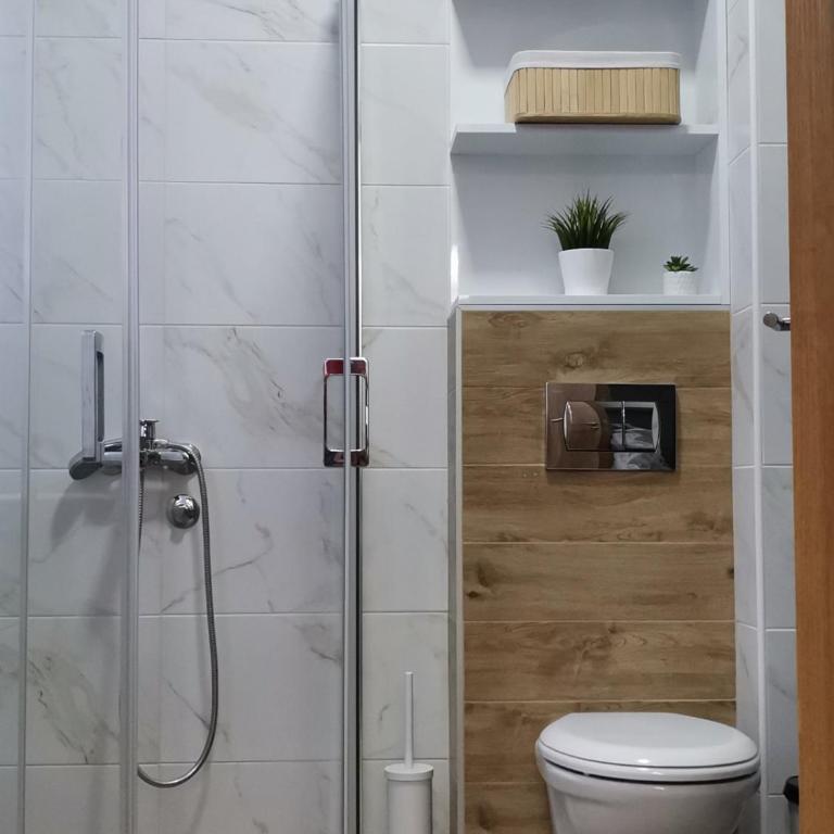 Bankovic Apartman - One-Bedroom Apartment - 30