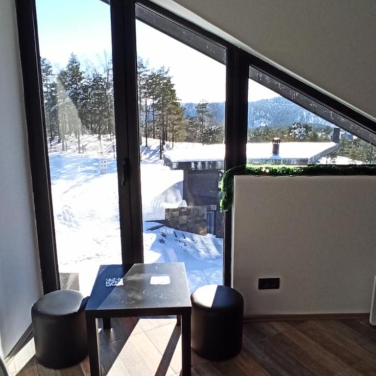 Apartman Studio LASTIN PUT Divčibare - Studio with Mountain View - 8