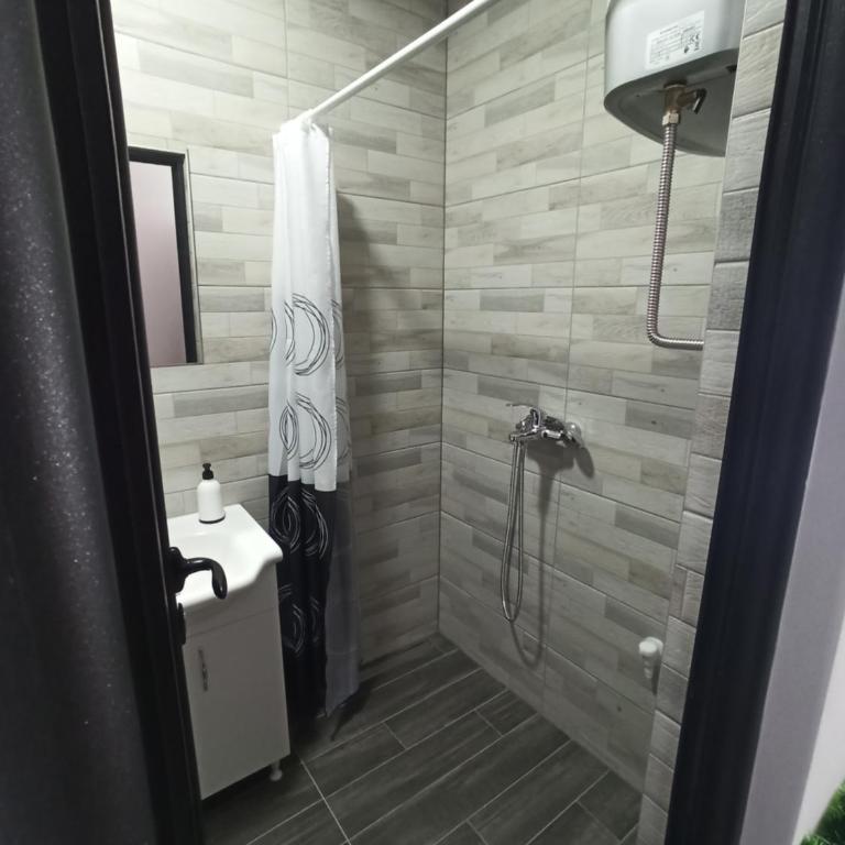 Apartman Studio LASTIN PUT Divčibare - Studio with Mountain View - 17