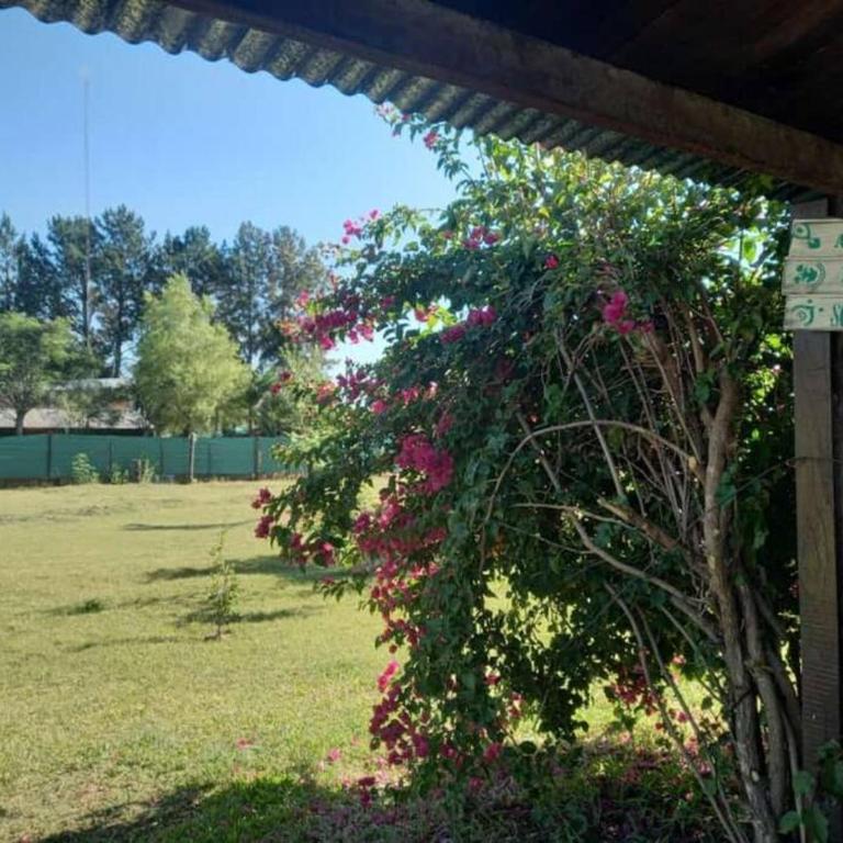 Aires de Campo, casa quinta - Two-Bedroom House - 5