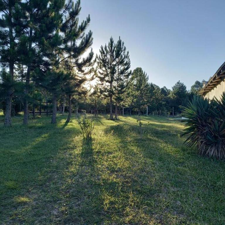 Aires de Campo, casa quinta - Two-Bedroom House - 6