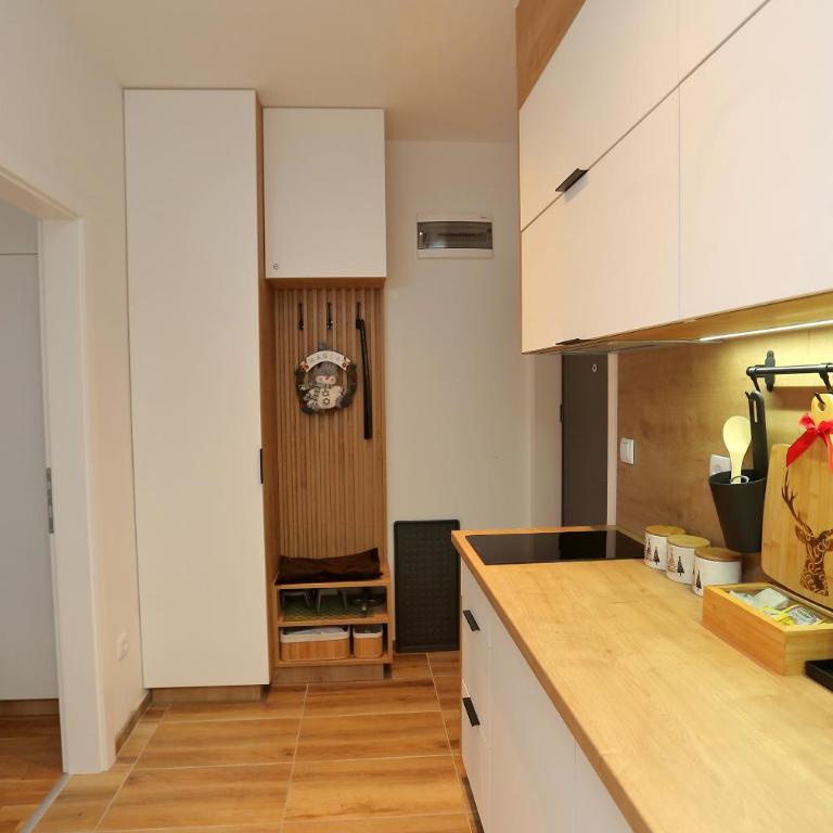 Apartmani MAGLA Jahorina - Apartment with Mountain View - 11