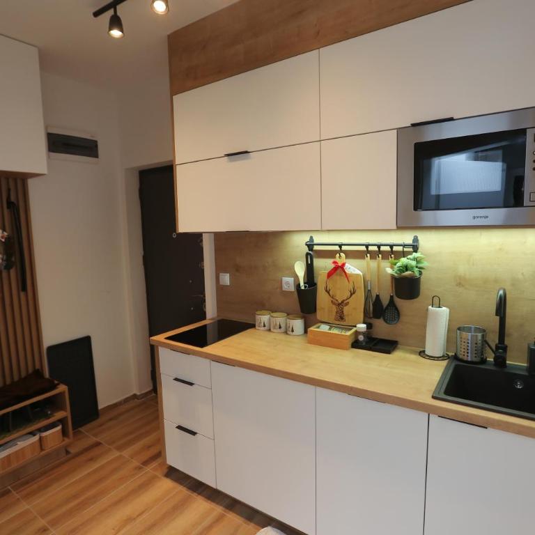 Apartmani MAGLA Jahorina - Apartment with Mountain View - 12