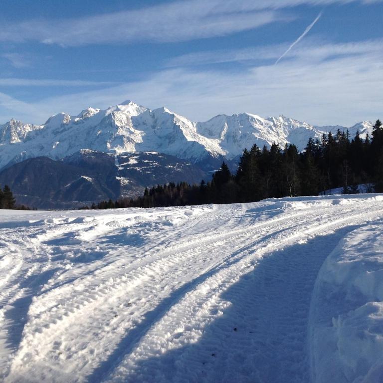 Résidence Les Jorasses - Studio - Vue sur Montagne - 22