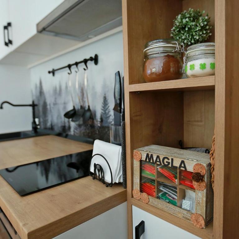 Apartmani MAGLA Jahorina - One-Bedroom Apartment - 19