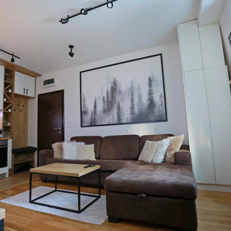 Apartmani MAGLA Jahorina - One-Bedroom Apartment - 25