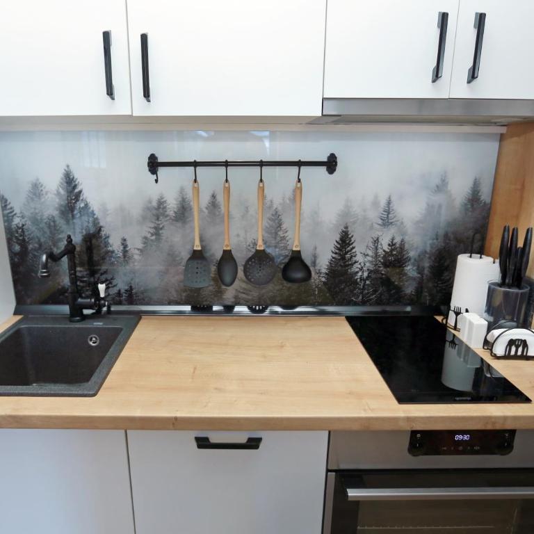 Apartmani MAGLA Jahorina - One-Bedroom Apartment - 28