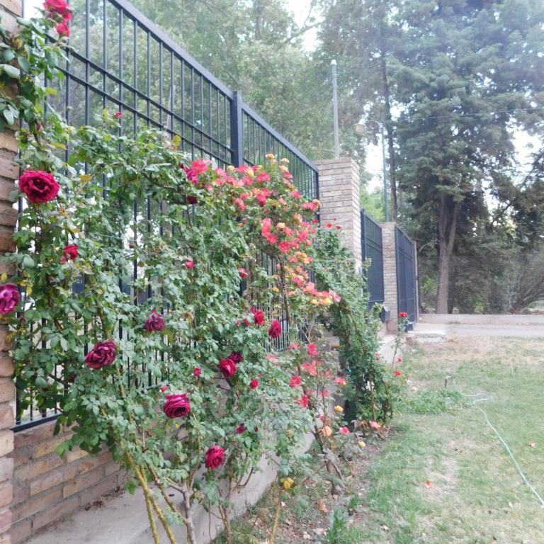 Mendoza cabaña Limón - Apartamento de 1 dormitorio - 4