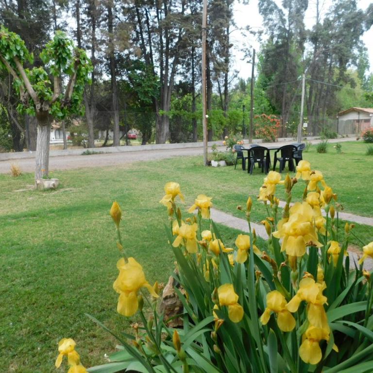 Mendoza cabaña Limón - Apartamento de 1 dormitorio - 8