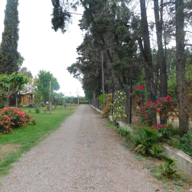 Mendoza cabaña Limón - Apartamento de 1 dormitorio - 10
