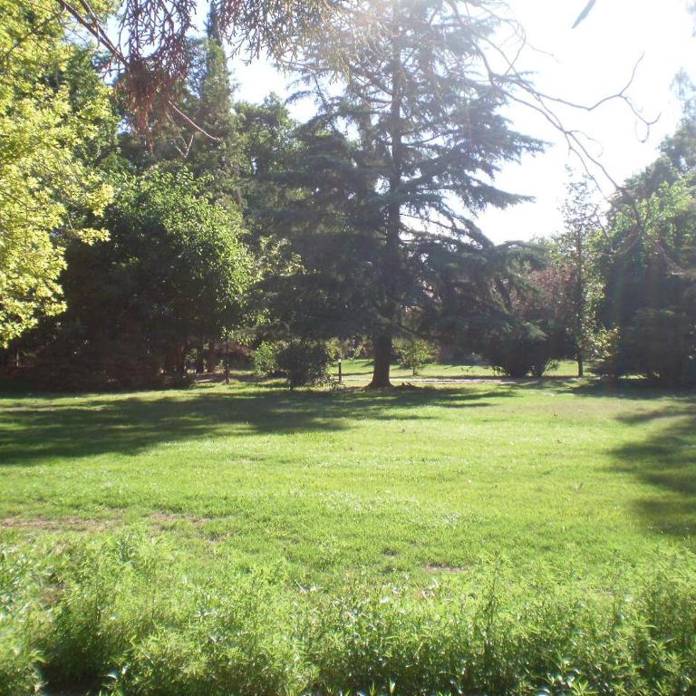 Mendoza cabaña Limón - Apartamento de 1 dormitorio - 12