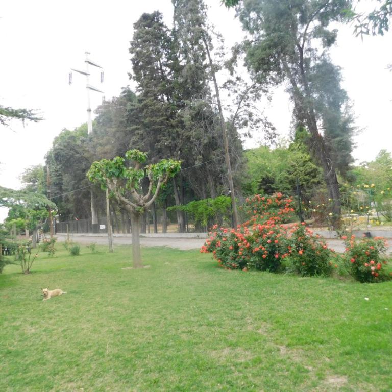 Mendoza cabaña Limón - Apartamento de 1 dormitorio - 14