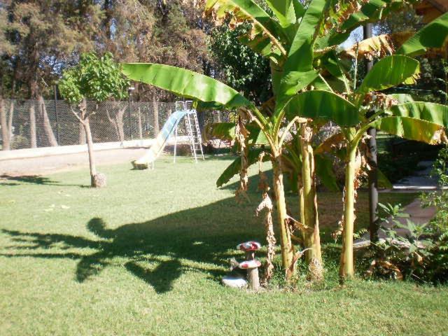 Mendoza cabaña Limón - Apartamento de 1 dormitorio - 16