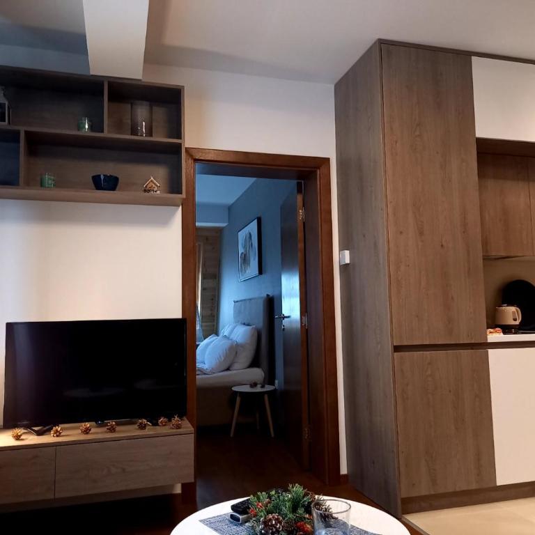 Nivalis Residence A16 - One-Bedroom Apartment - 17