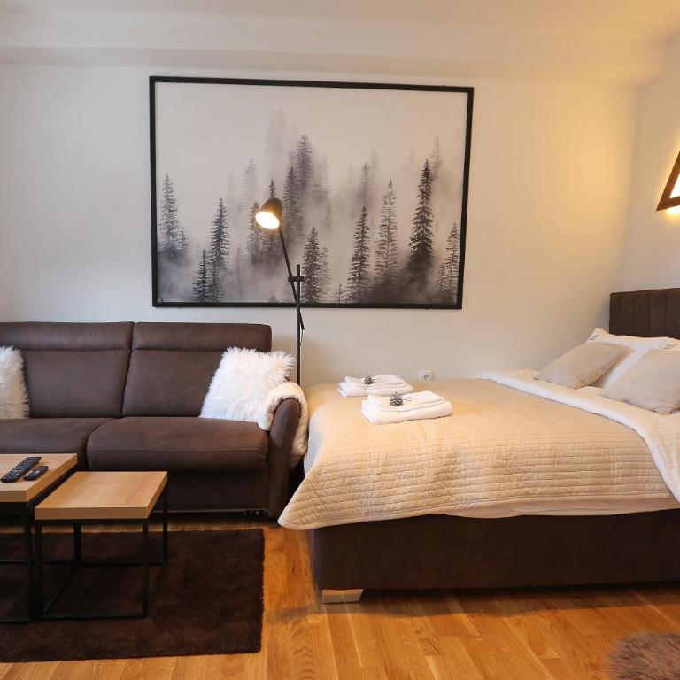 Apartmani MAGLA Jahorina - Deluxe Double Studio - 17
