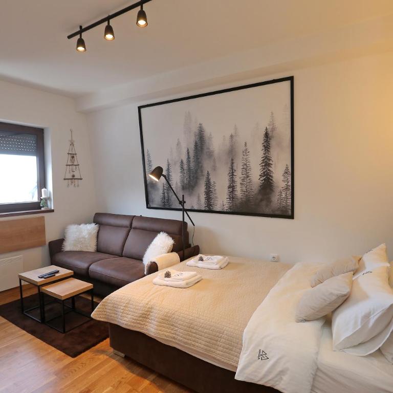 Apartmani MAGLA Jahorina - Deluxe Double Studio - 5