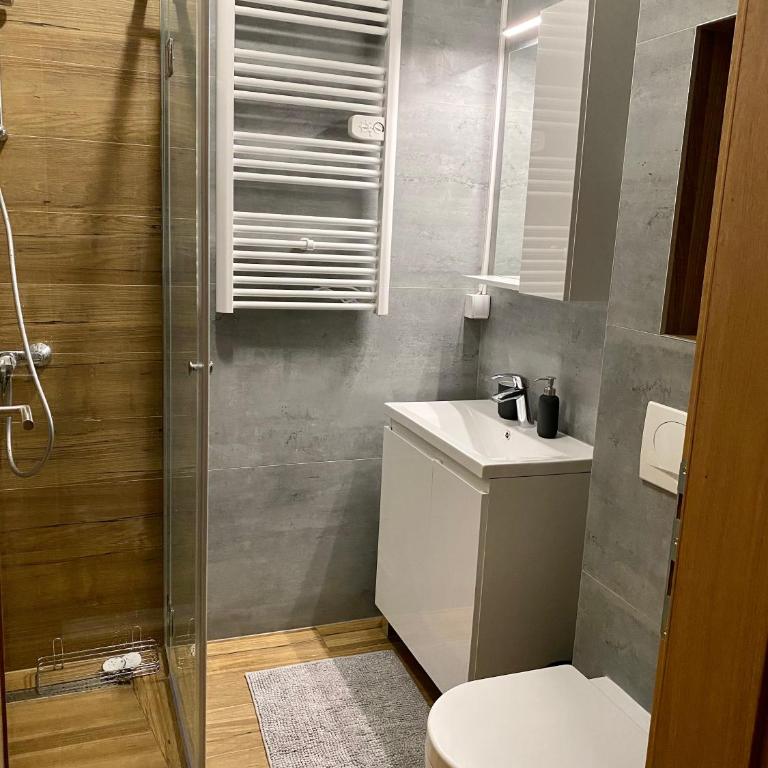 Zlatni dan - One-Bedroom Apartment - 26