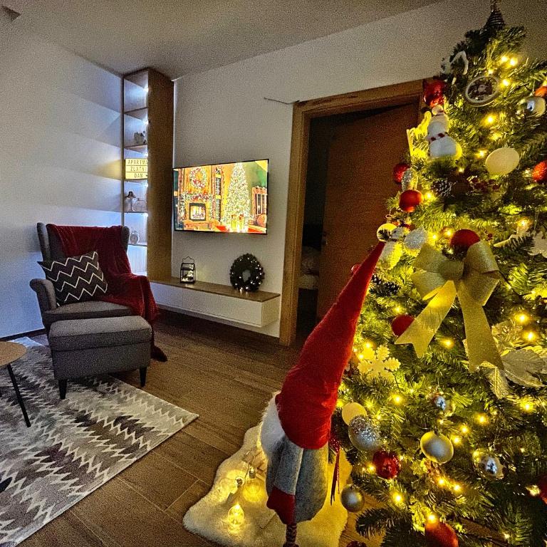 Zlatni dan - One-Bedroom Apartment - 3